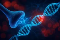 نقص در یک نوع ژن، ترمز طبیعی مغز در برابر الکل را از کار می‌اندازد