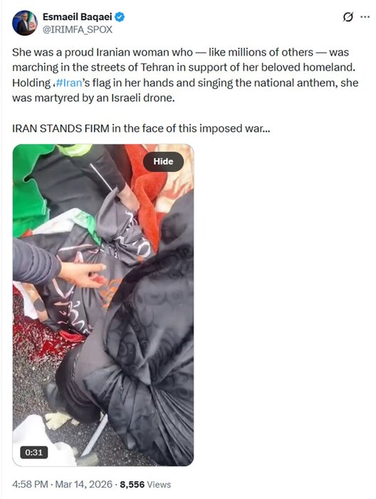 بقائی: ایران در دفاع از خود استوار است بقائی: ایران در دفاع از خود استوار است