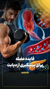 فایده عضله برای پیشگیری از دیابت