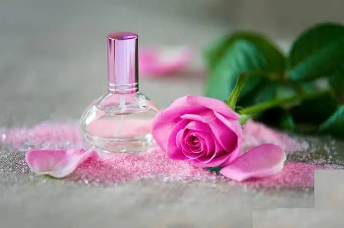 گل محمدی