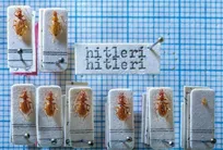 تلاش برای تغییر اسم حشره‌ای به نام «هیتلر» به بن‌بست رسید