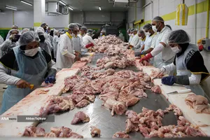 آغاز واردات ریلی مواد اولیه داروی دامپزشکی از چین 