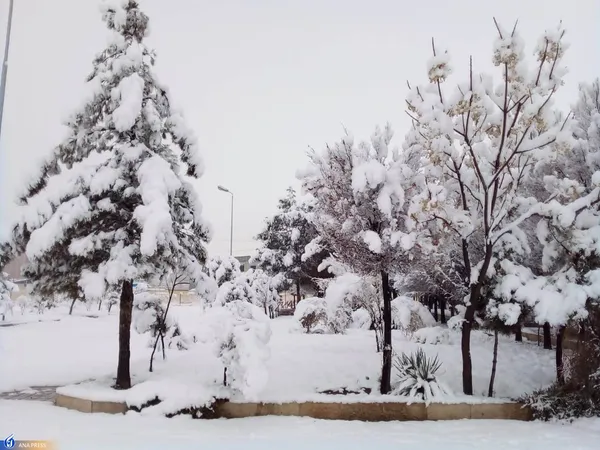 دانشگاه آزاد اسلامی واحد قم در یک روز برفی