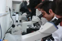 توسعه فعالیت‌های دانش‌بنیان با هدفمندکردن پایان‌نامه‌های دانشجویی