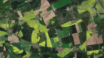 Iranian Firm Analyzes Wheat Cultivation Area in 3 Provinces with Satellite Images