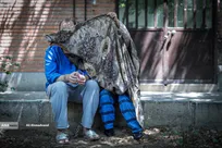 طرح دستگیری سارقان خشن