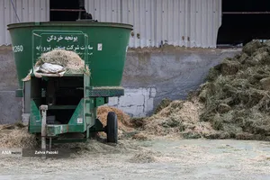 خودکفایی در تولید شیر