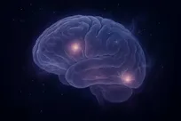 در دوران یائسگی چه اتفاقی برای مغز می‌افتد