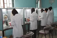 فرهنگ‌سازی؛ حلقه مفقود جذب دانشجو در رشته‌های مهارتی