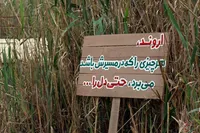 «جنوب؛ سفری که بازگشت ندارد»/ روایت دانشجومعلمان از راهیان نور