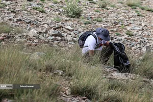 پاکداشت طبیعت توچال