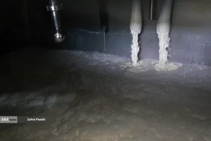 خودکفایی در تولید شیر