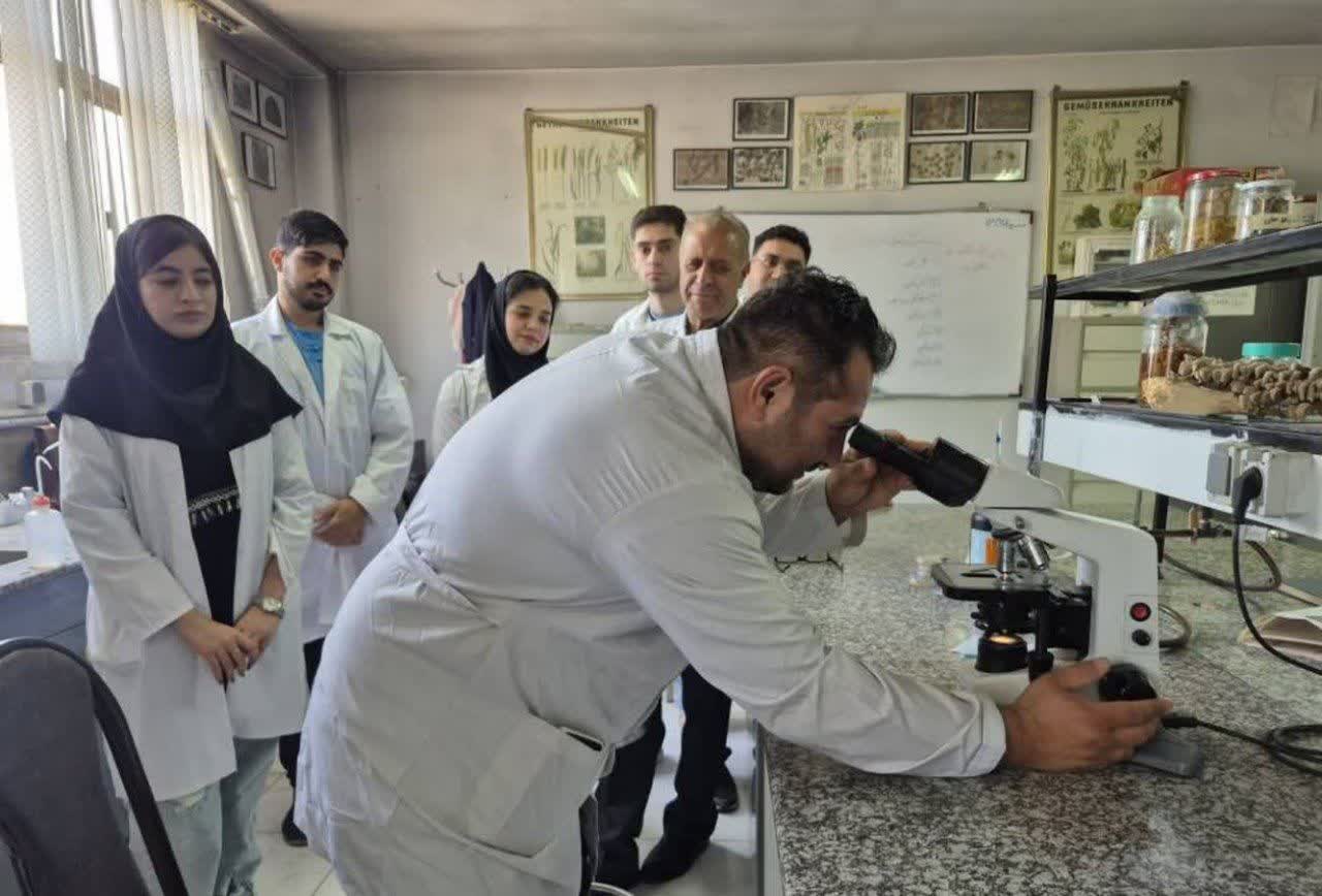تأکید بر حفظ کیفیت آموزش در دروس عملی؛ لزوم ایجاد تعادل میان آموزش مجازی و حضوری