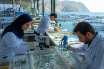 گام مشترک معاونت علمی و مؤسسه شیلات برای تجاری‌سازی فناوری تکثیر ماهیان