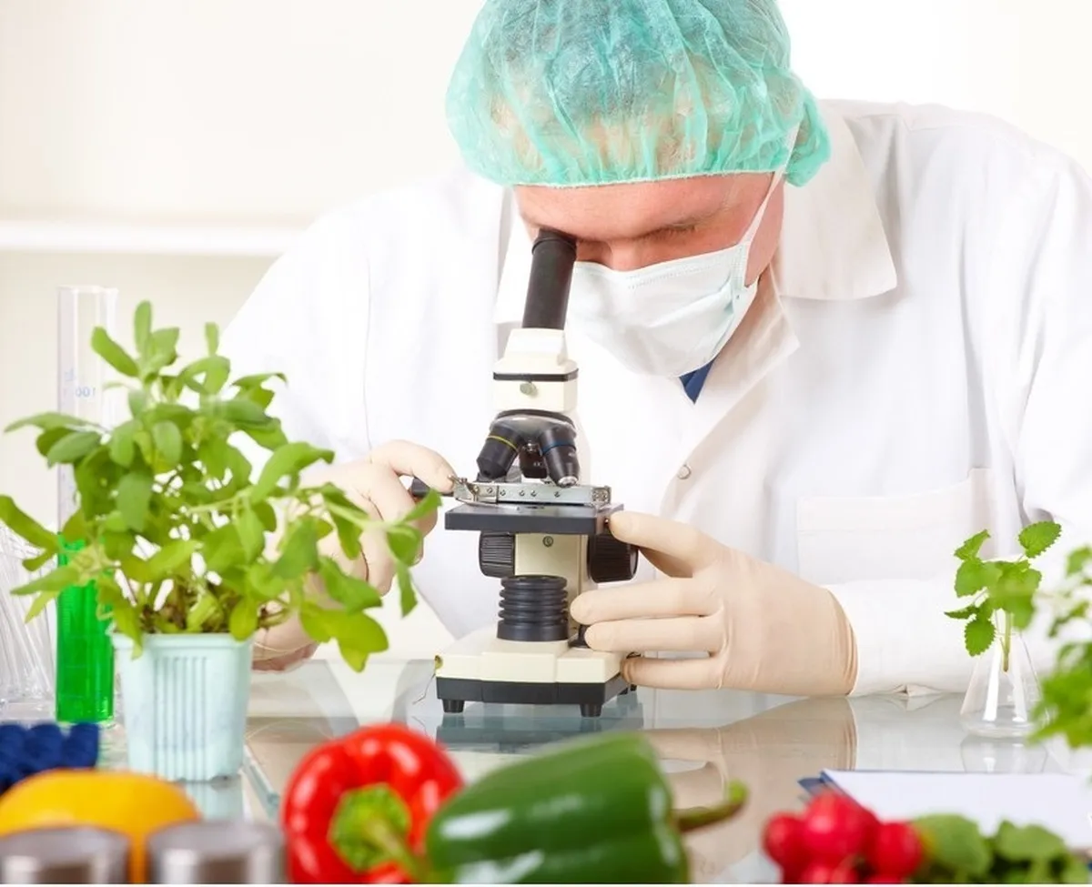 ترسیم نقشه راه زیست بوم فناوری و نوآوری غذا در مراکز علمی
