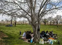 آموزش زیست‌محیطی در طبیعت؛ راهی برای نهادینه‌سازی فرهنگ حفاظت از محیط زیست در نسل آینده
