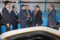 انعقاد تفاهم‌نامه همکاری دانشگاه آزاد و مؤسسه تحقیقات بین‌المللی تاس ماهیان دریای خزر