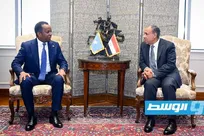 مصر بار دیگر بر حمایت از تمامیت ارضی سومالی تأکید کرد