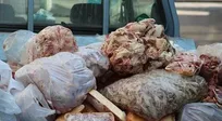 ۲۵۴ کیلو گوشت الاغ و قاطر در تهران کشف شد