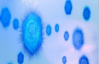 New Giant Virus Discovery Sparks Scientific Curiosity About the Origins of Life