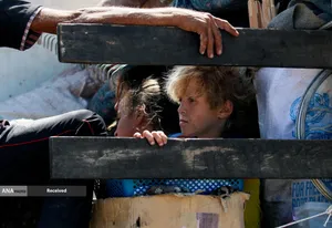 مردم آواره شهر غزه