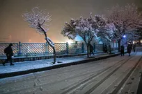 شب برفی در تهران