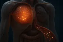 ورزش چگونه خطر سرطان را کاهش می‌دهد