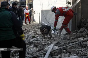 جنایت آمریکایی-صهیونی در خیابان ایران تهران