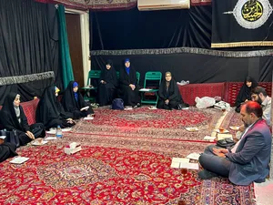 فعالیت خادمیاران و یاوران رضوی منطقه دارالمومنین تهران 