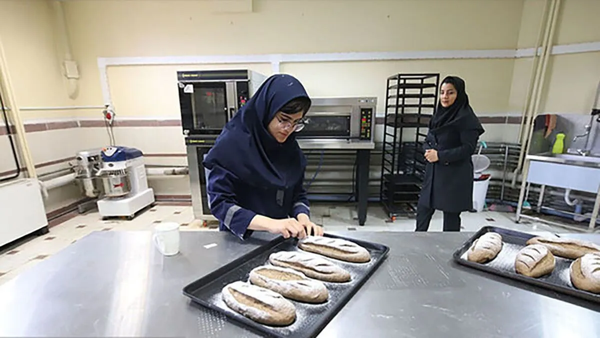 برنامه زمانی بررسی رشته‌های جدید بازطراحی شده در شاخه کاردانش اعلام می‌شود